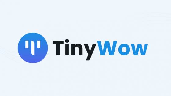 TinyWow : Beste Option, Preisgestaltung, nützliche Informationen