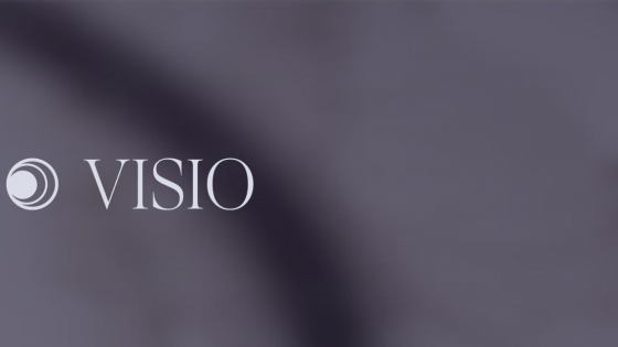 Visio Studio : Beste Option, Preisgestaltung, nützliche Informationen