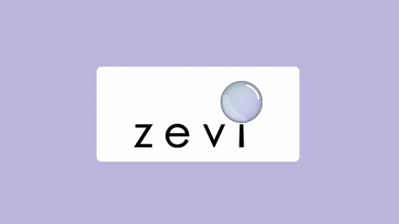 Zevi AI - Überblick und Funktionalität des KI-Tools