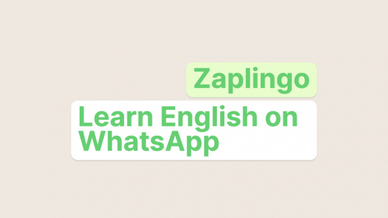 Zaplingo - Особенности, Стоимость, Альтернативы