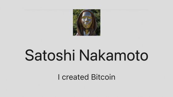 Satoshi Nakamoto Chatbot: Useful information, Features, Benefits