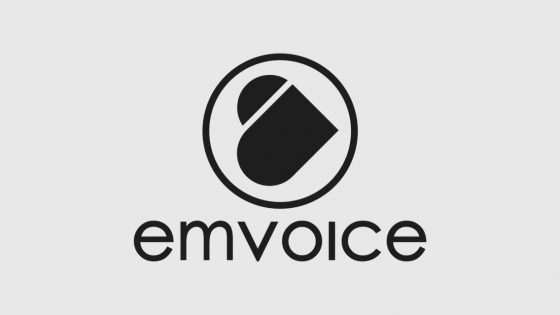 Emvoice : Nützliche Einblicke, Tool-Funktionen, Preisgestaltung
