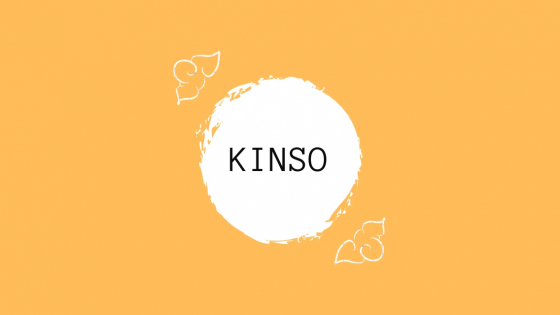 Kinso AI - Funktionen, Preise, Nützliche Informationen