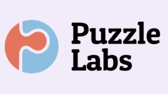 Puzzle Labs - AI Tool Overview and Functionality