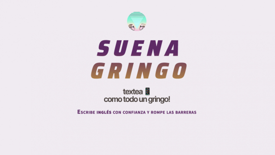 SuenaGringo AI : Best Fit, Pricing, Useful Information