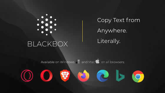 Blackbox : Funktionen, Anwendungsbeispiele, Preisgestaltung