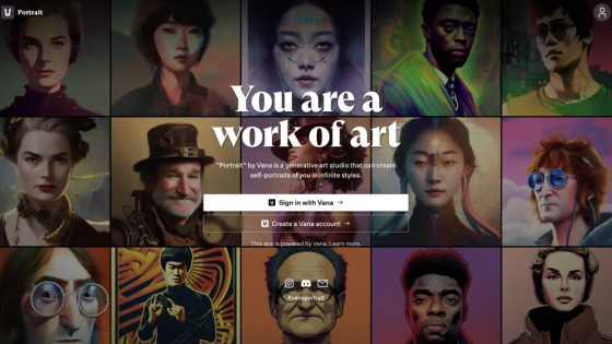Portrait by Vana - Important Features, Pricing, Useful Tips