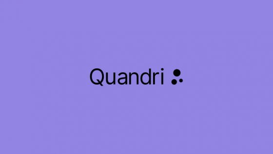 Quandri: Useful Insights, Tool Features, Pricing