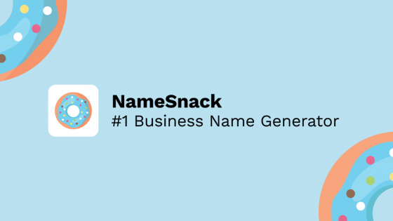 NameSnack: Useful Insights, Tool Features, Pricing